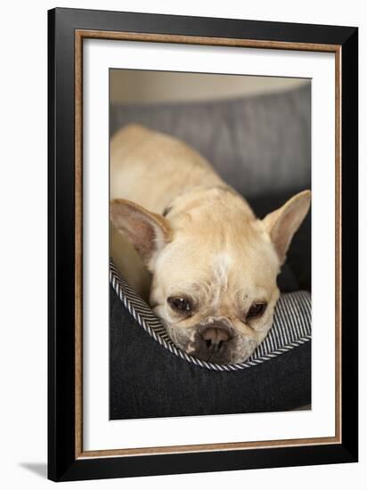 Resting II-Karyn Millet-Framed Photographic Print