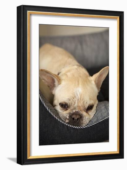 Resting II-Karyn Millet-Framed Photographic Print