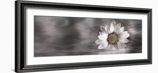 Resting in water ll-Heidi Westum-Framed Photographic Print