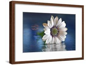 Resting in Water-Heidi Westum-Framed Photographic Print