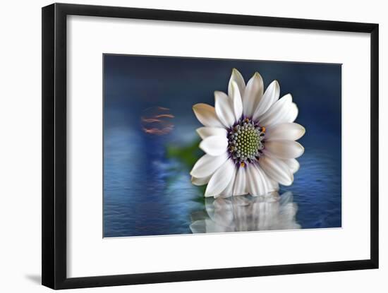 Resting in Water-Heidi Westum-Framed Photographic Print