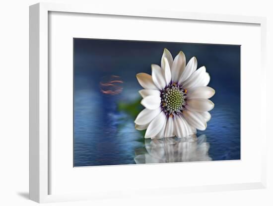 Resting in Water-Heidi Westum-Framed Photographic Print