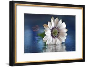 Resting in Water-Heidi Westum-Framed Photographic Print