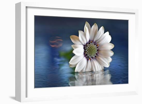 Resting in Water-Heidi Westum-Framed Photographic Print