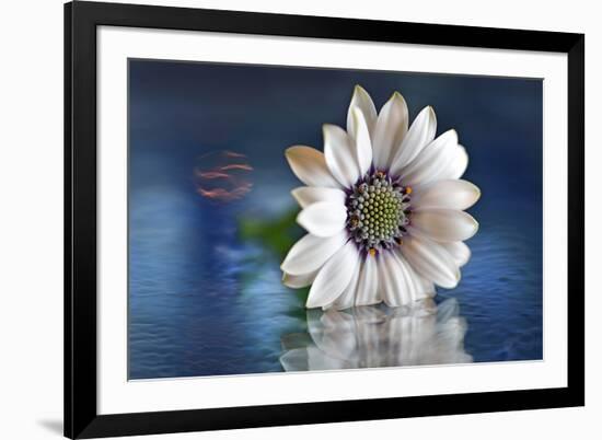 Resting in Water-Heidi Westum-Framed Photographic Print