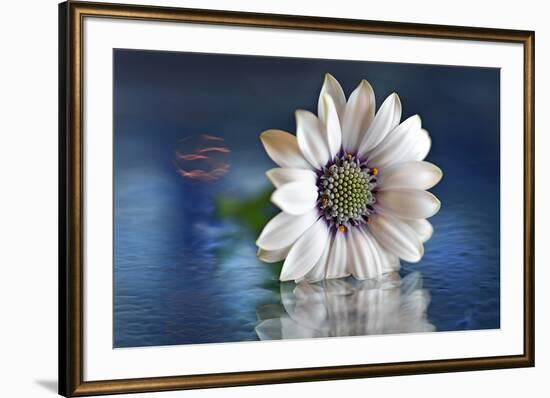 Resting in Water-Heidi Westum-Framed Photographic Print