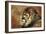 Resting King-Jai Johnson-Framed Giclee Print