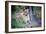 Resting lion, Chobe National Park, Botswana, Africa-Karen Deakin-Framed Photographic Print