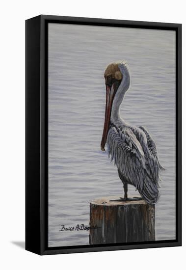 Resting Pelican-Bruce Dumas-Framed Premier Image Canvas