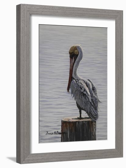 Resting Pelican-Bruce Dumas-Framed Giclee Print