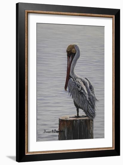 Resting Pelican-Bruce Dumas-Framed Giclee Print