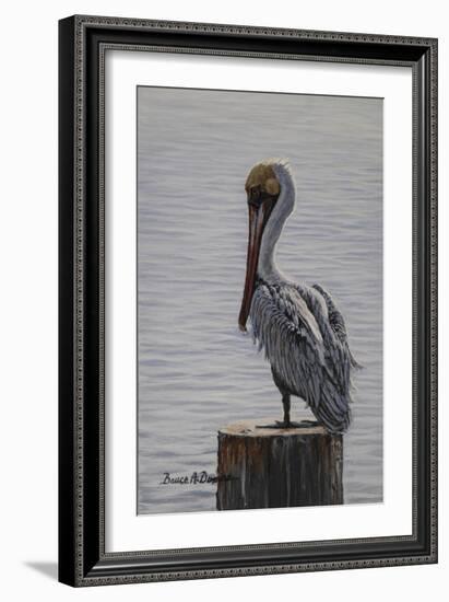 Resting Pelican-Bruce Dumas-Framed Giclee Print