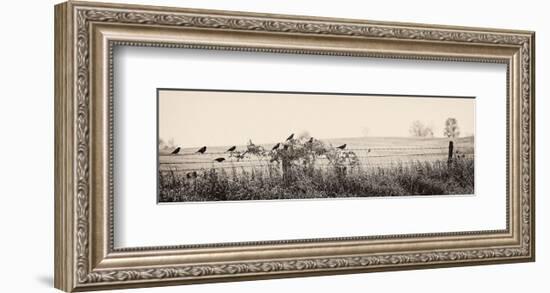 Resting Place I-Trent Foltz-Framed Art Print