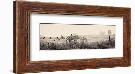 Resting Place I-Trent Foltz-Framed Art Print