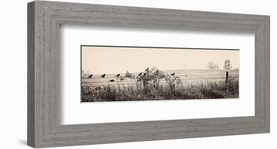 Resting Place I-Trent Foltz-Framed Art Print