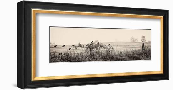 Resting Place I-Trent Foltz-Framed Art Print