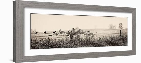 Resting Place I-Trent Foltz-Framed Art Print