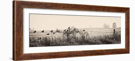 Resting Place I-Trent Foltz-Framed Art Print