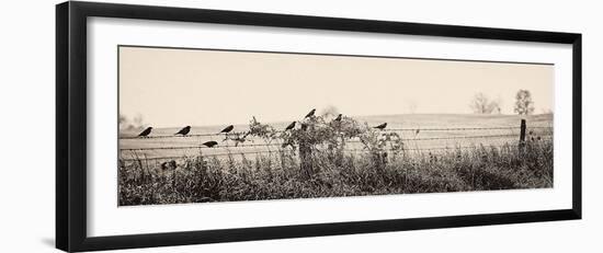 Resting Place I-Trent Foltz-Framed Art Print