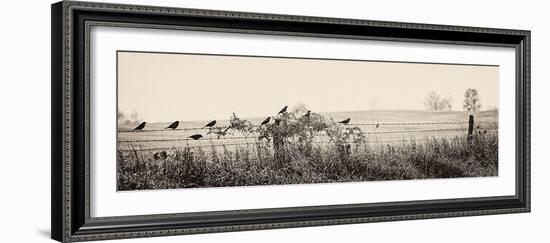 Resting Place I-Trent Foltz-Framed Art Print