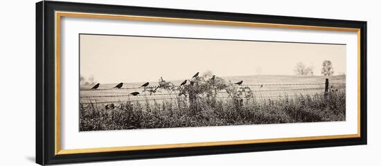 Resting Place I-Trent Foltz-Framed Art Print