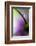 Resting Place-Heidi Westum-Framed Photographic Print