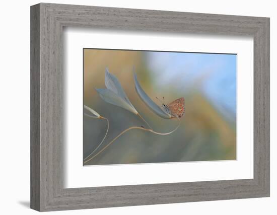 Resting smoothly...-Thierry Dufour-Framed Photographic Print