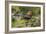 Resting Spot-Staffan Widstrand-Framed Giclee Print