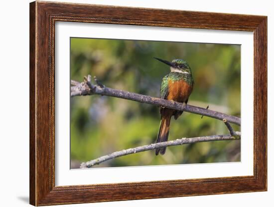 Resting Spot-Staffan Widstrand-Framed Giclee Print