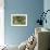 Resting Spot-Staffan Widstrand-Framed Giclee Print displayed on a wall