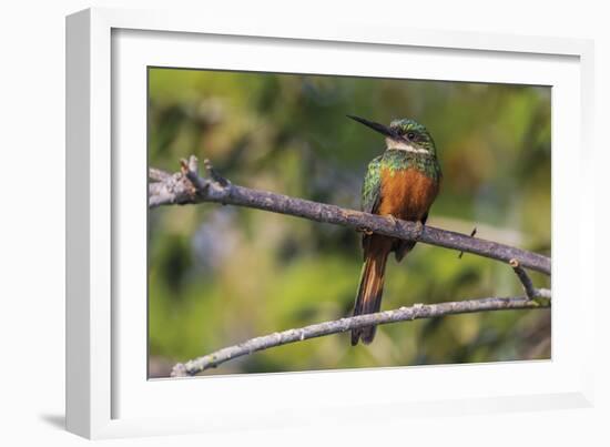 Resting Spot-Staffan Widstrand-Framed Giclee Print