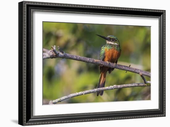 Resting Spot-Staffan Widstrand-Framed Giclee Print