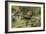 Resting Spot-Staffan Widstrand-Framed Giclee Print