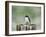 Resting Swallow-Jai Johnson-Framed Giclee Print