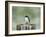 Resting Swallow-Jai Johnson-Framed Giclee Print