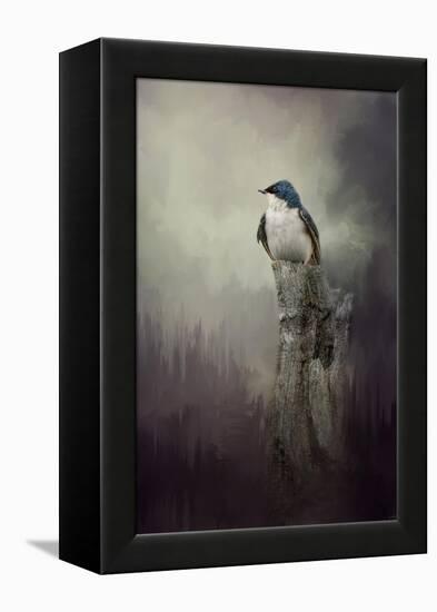 Resting Tree Swallow-Jai Johnson-Framed Premier Image Canvas