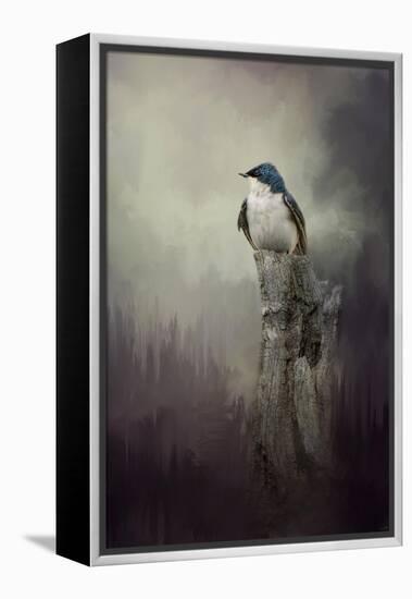 Resting Tree Swallow-Jai Johnson-Framed Premier Image Canvas