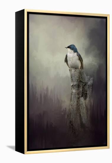 Resting Tree Swallow-Jai Johnson-Framed Premier Image Canvas