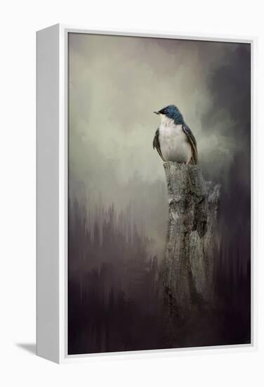 Resting Tree Swallow-Jai Johnson-Framed Premier Image Canvas