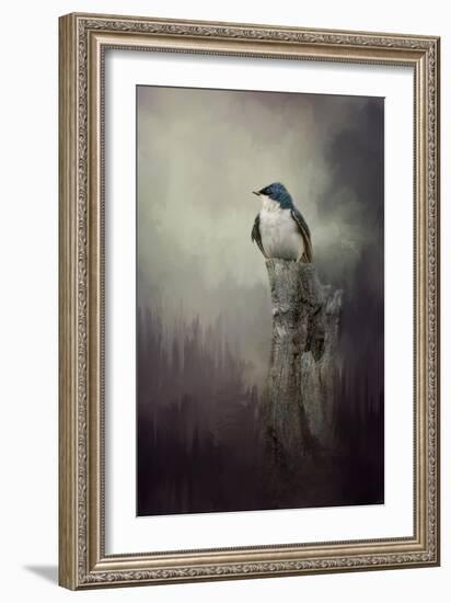 Resting Tree Swallow-Jai Johnson-Framed Giclee Print