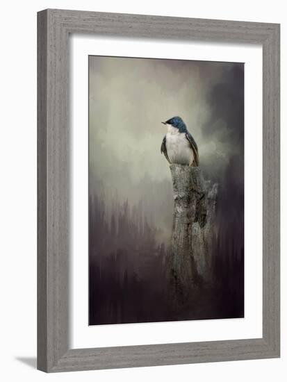 Resting Tree Swallow-Jai Johnson-Framed Giclee Print