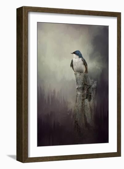 Resting Tree Swallow-Jai Johnson-Framed Giclee Print