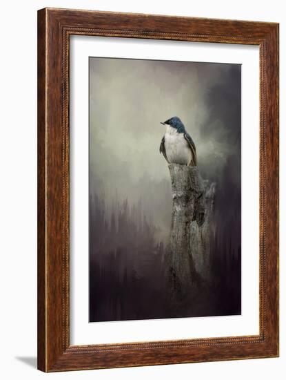 Resting Tree Swallow-Jai Johnson-Framed Giclee Print