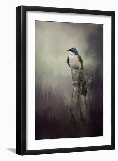 Resting Tree Swallow-Jai Johnson-Framed Giclee Print