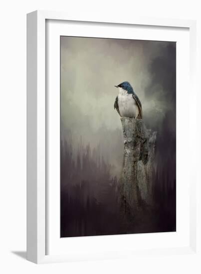 Resting Tree Swallow-Jai Johnson-Framed Giclee Print