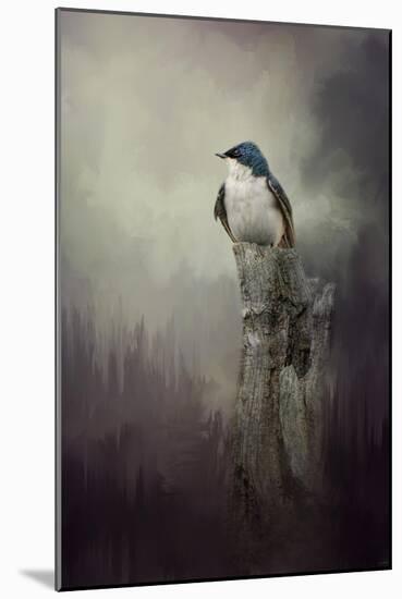 Resting Tree Swallow-Jai Johnson-Mounted Giclee Print