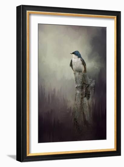 Resting Tree Swallow-Jai Johnson-Framed Giclee Print