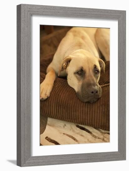 Resting-Karyn Millet-Framed Photographic Print