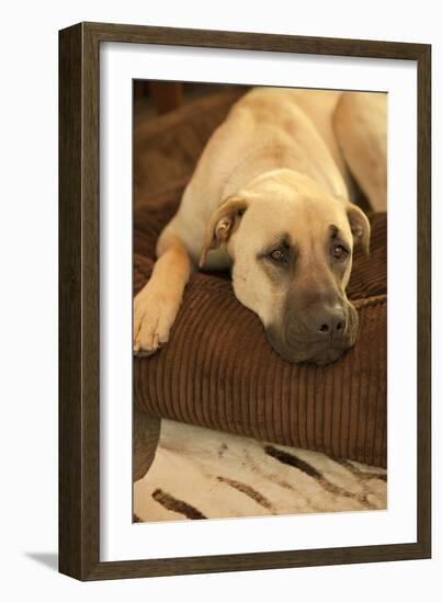 Resting-Karyn Millet-Framed Photographic Print