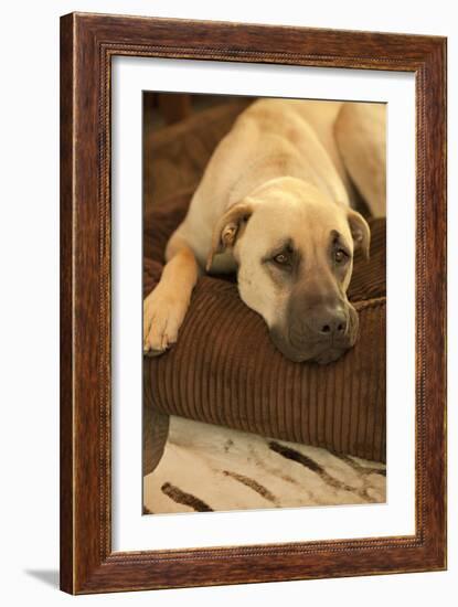 Resting-Karyn Millet-Framed Photographic Print